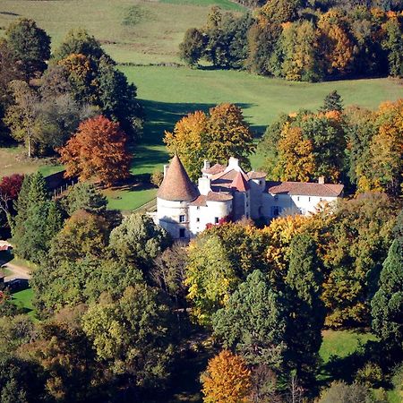Chateau Des Martinanches Saint-Dier-dʼAuvergne Dış mekan fotoğraf