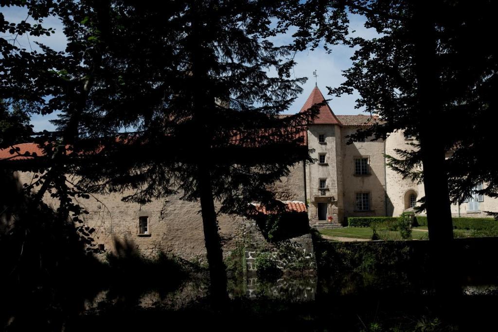 Chateau Des Martinanches Saint-Dier-dʼAuvergne Dış mekan fotoğraf