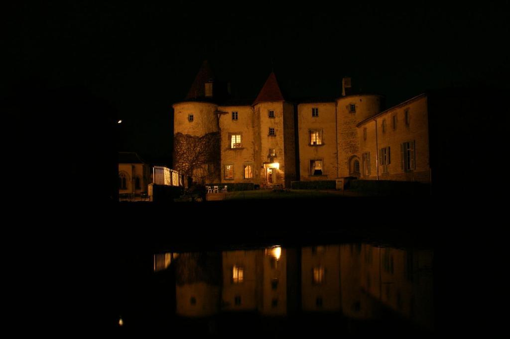 Chateau Des Martinanches Saint-Dier-dʼAuvergne Dış mekan fotoğraf
