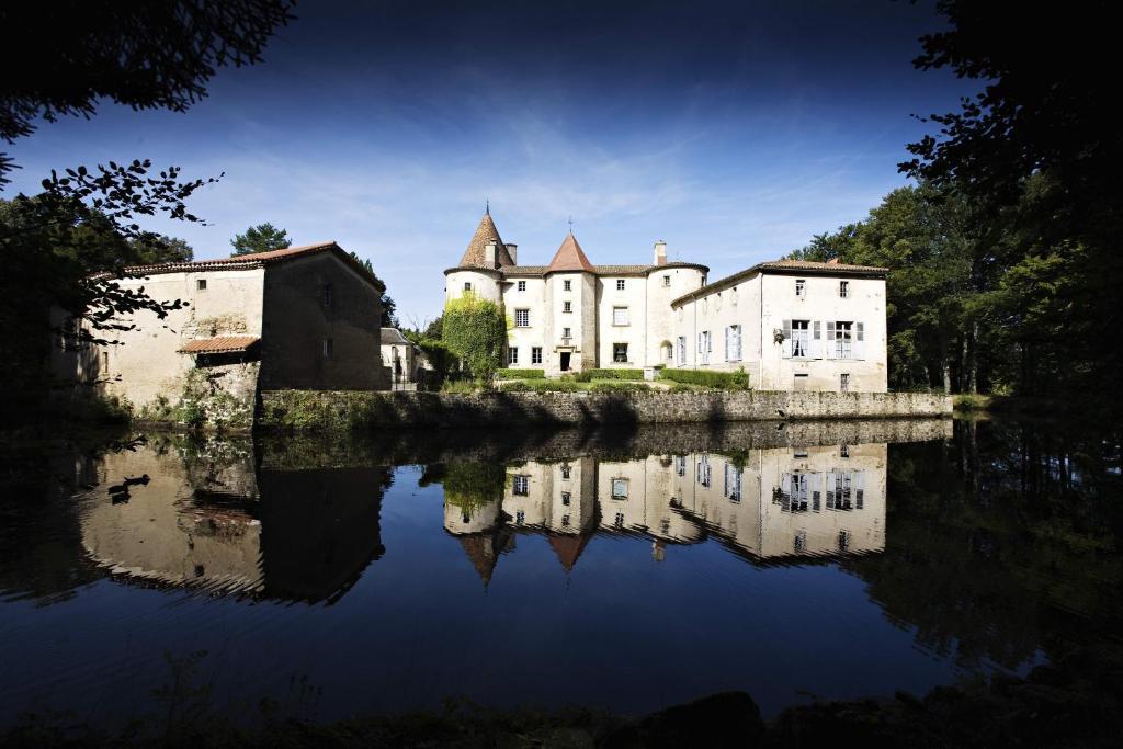Chateau Des Martinanches Saint-Dier-dʼAuvergne Dış mekan fotoğraf